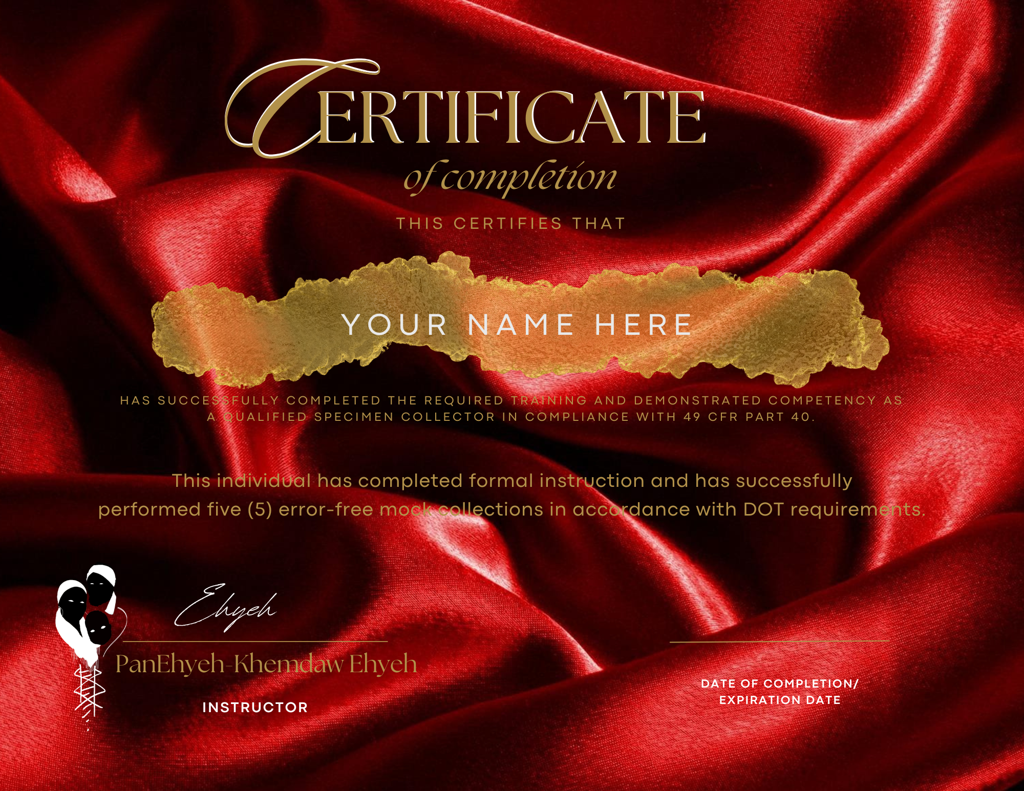 5 ERROR-FREE MOCKS ONLY ZOOM